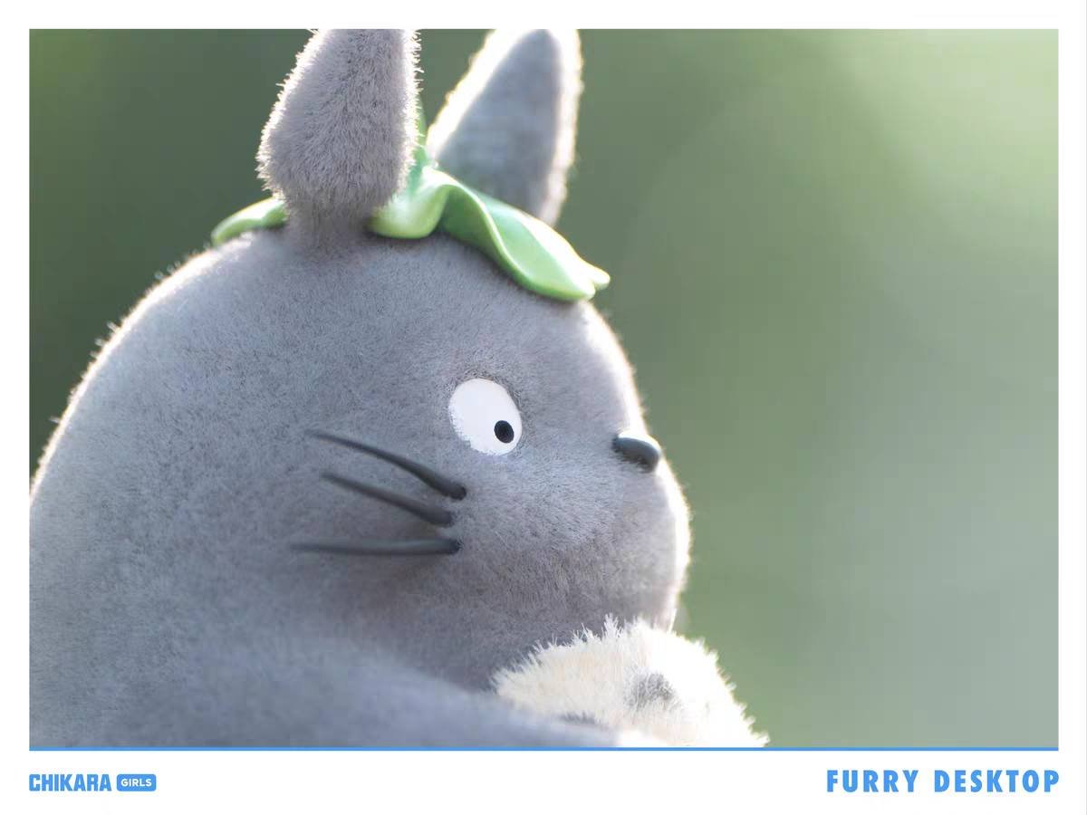 CHIKARA STUDIO - TOTORO