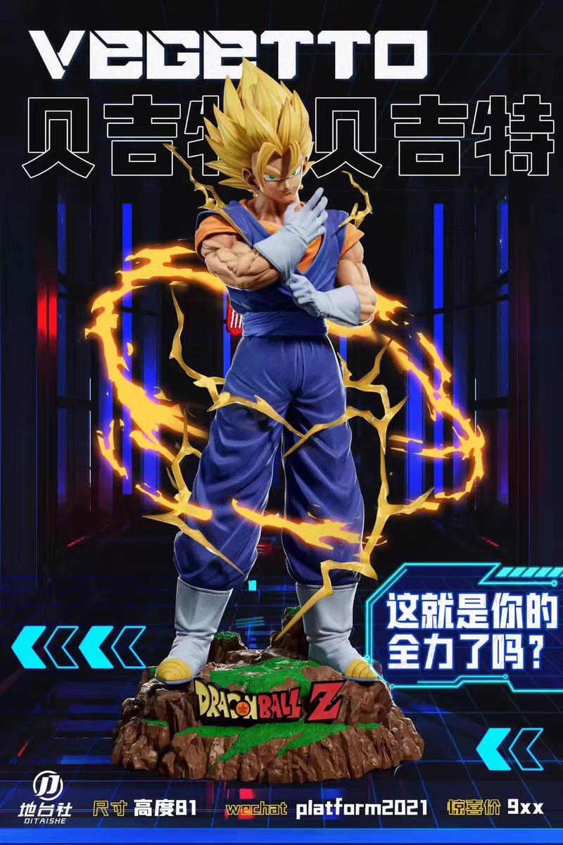 DITASHE STUDIO - 1/3 VEGITO