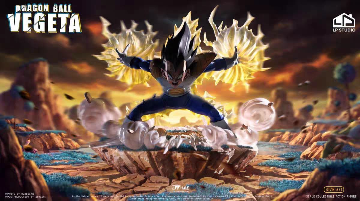 INS & LP STUDIO - VEGETA