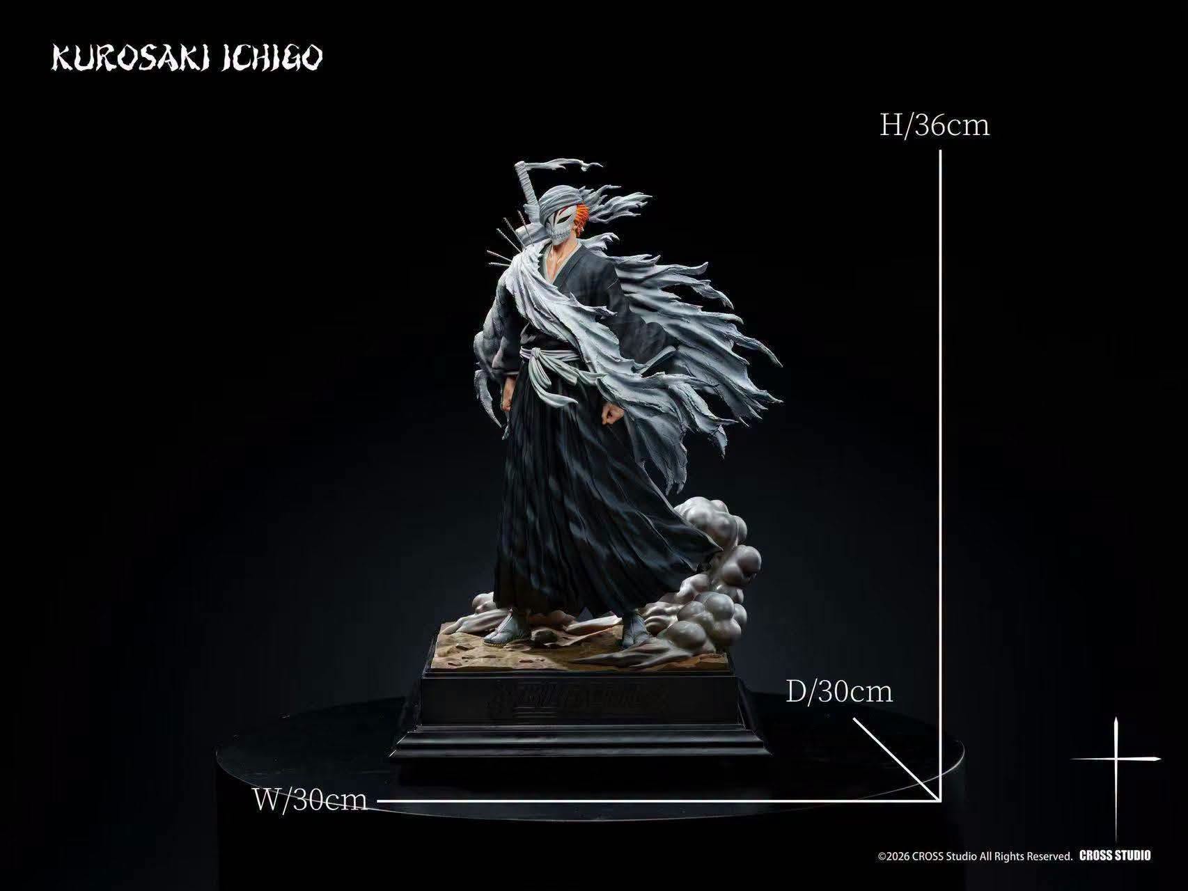 CROSS STUDIO - KUROSAKI ICHIGO